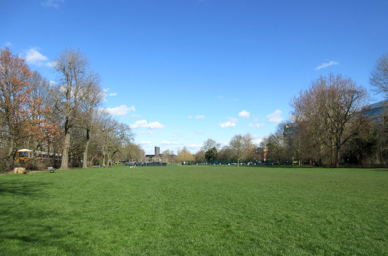 blue sky on a sunny
                          day