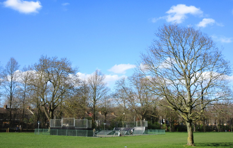 blue sky and fluffy
                          clouds