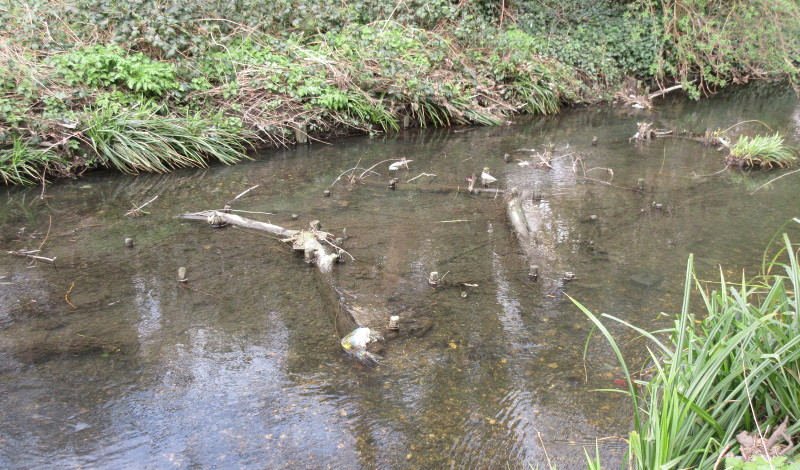 curious feature on
                          river bed