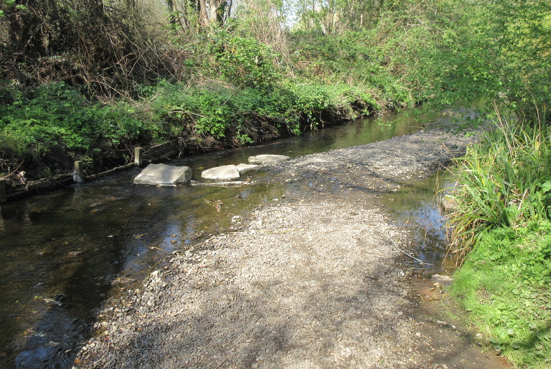 river bed exposed
                          while the river runs low