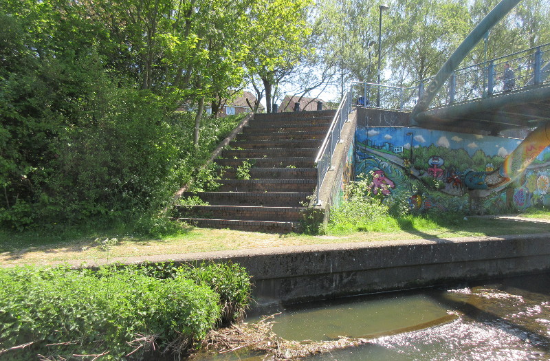 steps by bow
                              string bridge