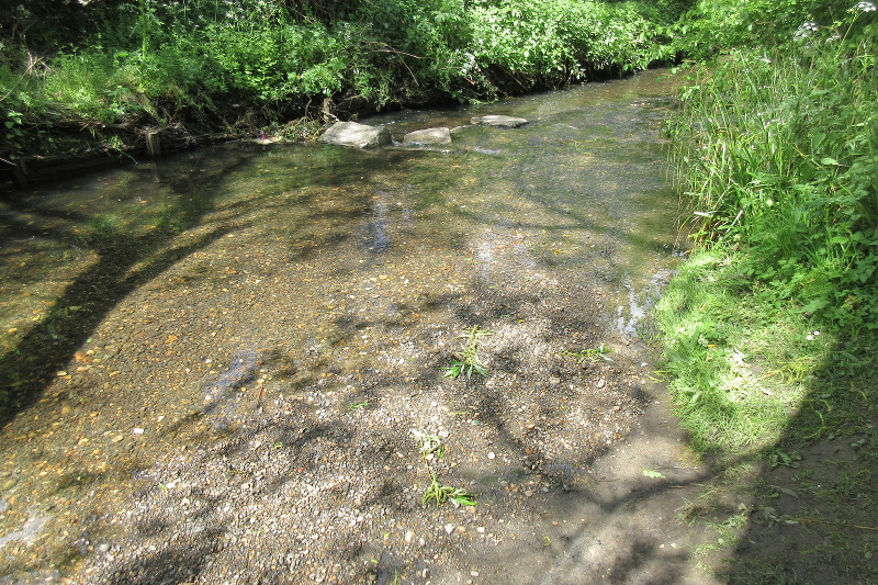 river level
                              getting lower again