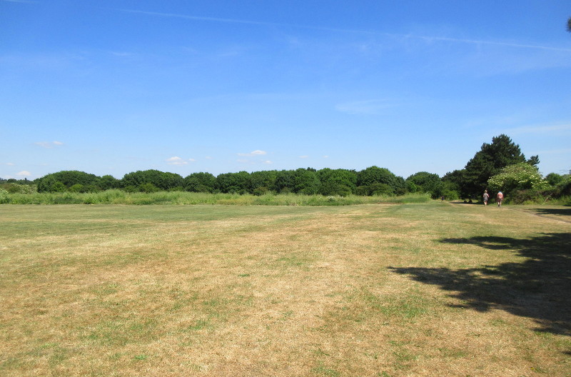 first wide
                                  view of one corner of the park