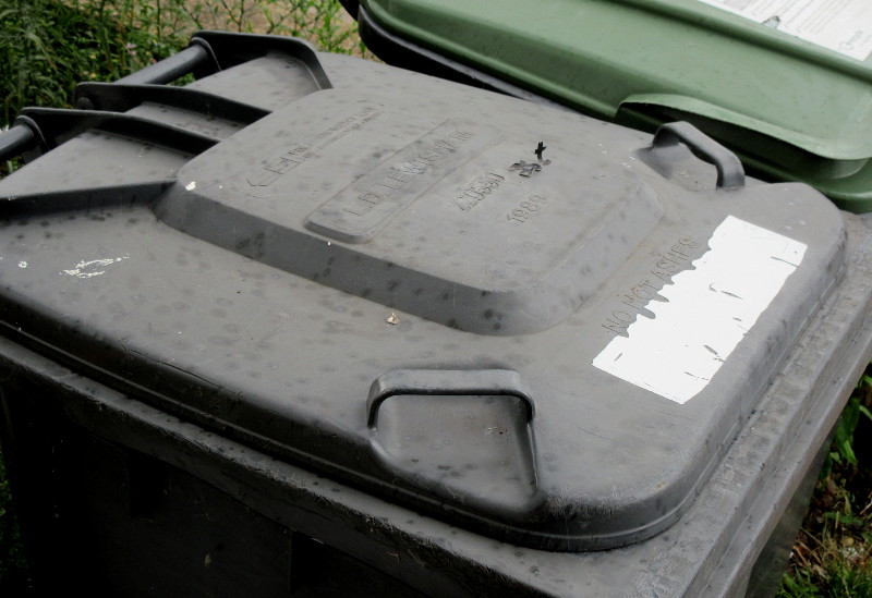 drops of rain on
                              the wheelie bin