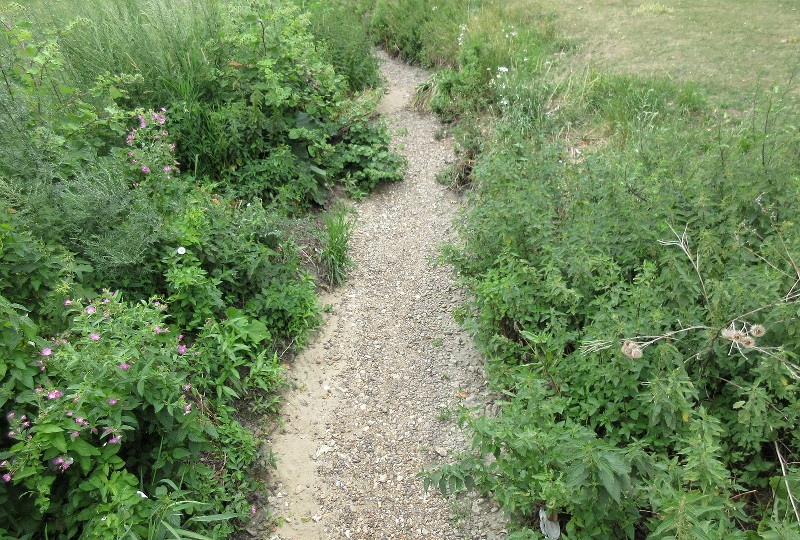 dry stream bed