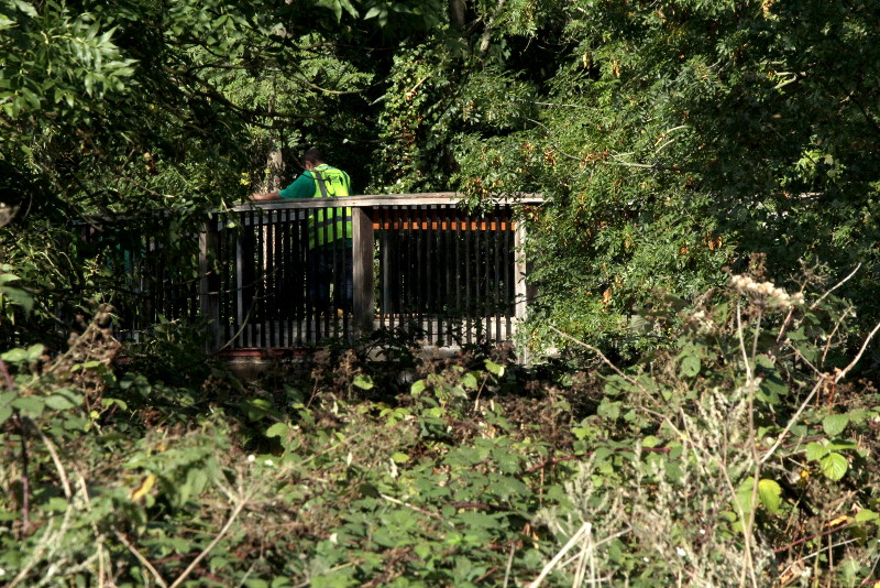 first sight of
                              the bridge with workmen on it