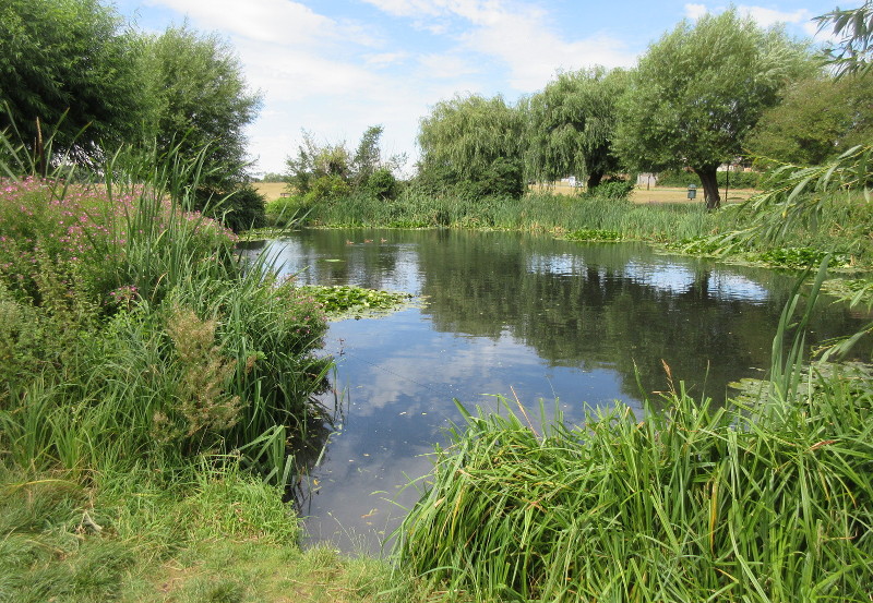 Hare And
                                  Billet pond