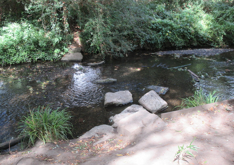 rocks in the
                              river