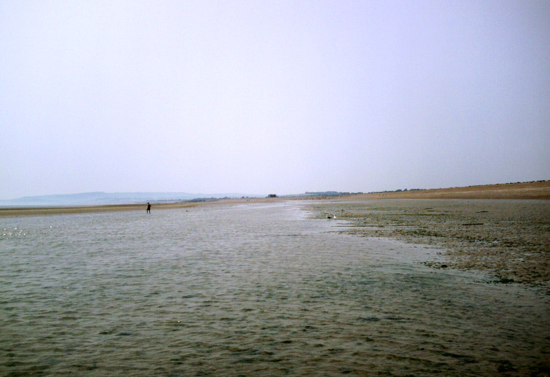 the sea and
                              beach at Rye