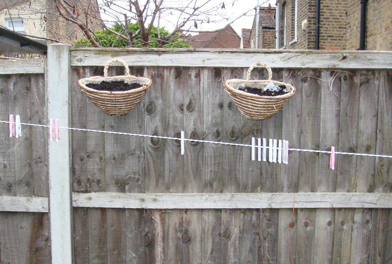 hanging
                                    baskets