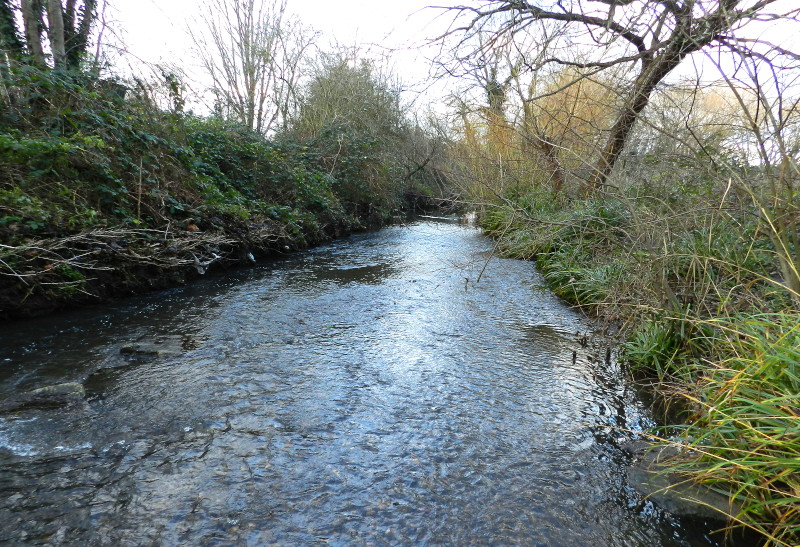 view down
                                  the river