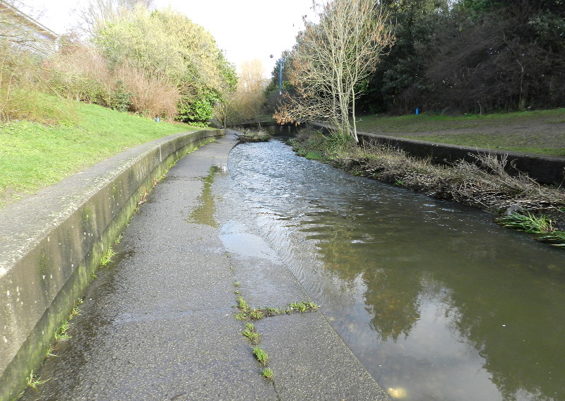 river
                                    overflowing the concrete bank