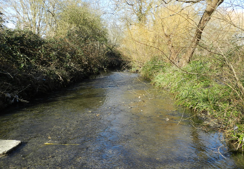 looking
                                      down the river from near the
                                      centre of the river