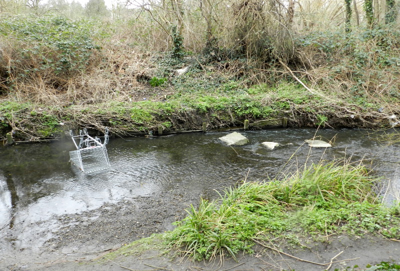 shopping
                                      trolley in the river