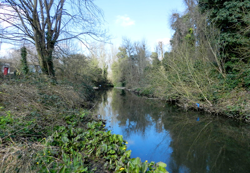 view
                                      down the river