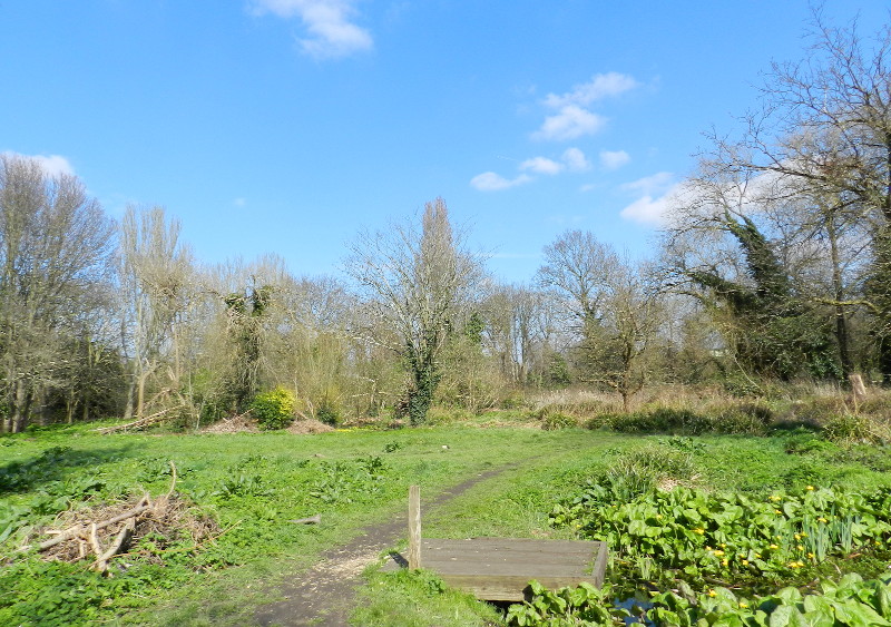 green
                                      ground and blue sky