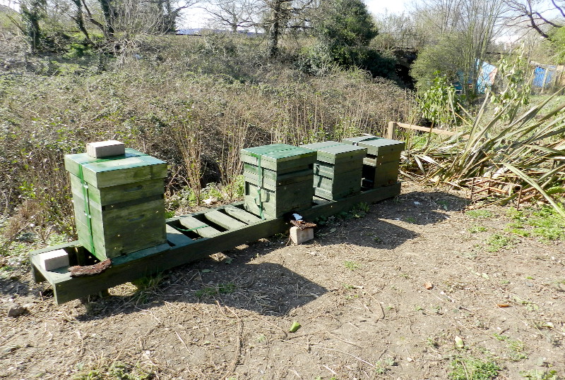 4
                                      beehives