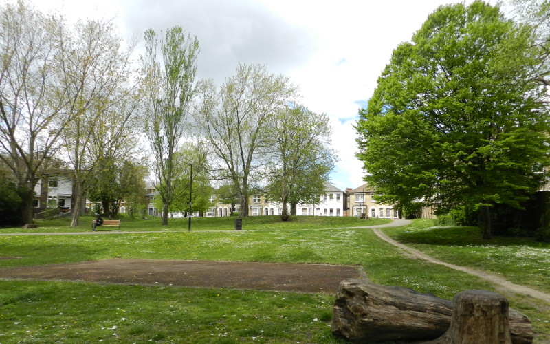 trees
                                      now looking very green