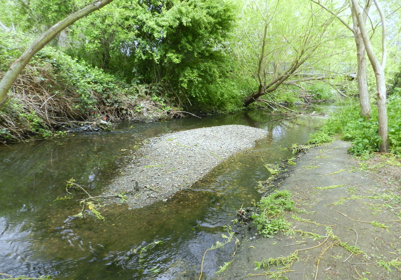 island
                                      in the stream