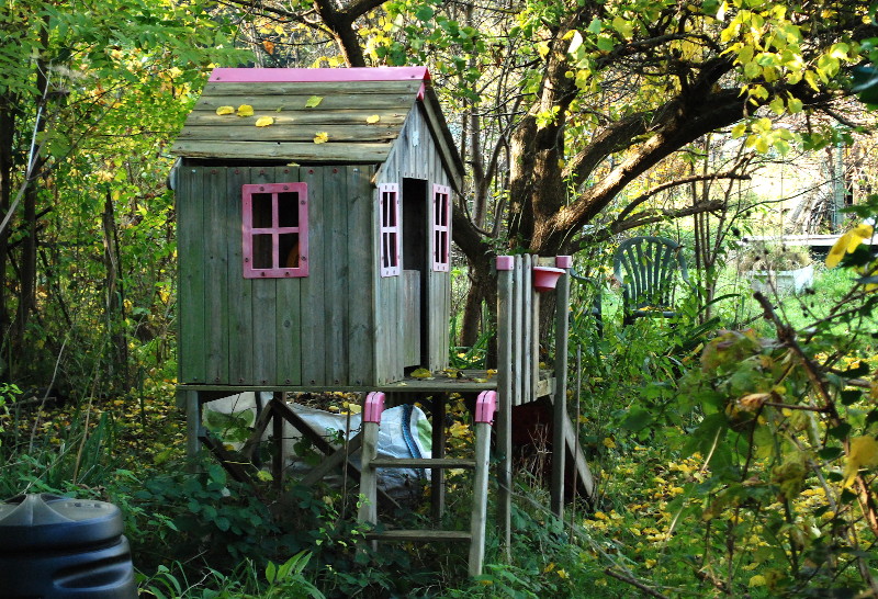 little
                                    house on an allotment