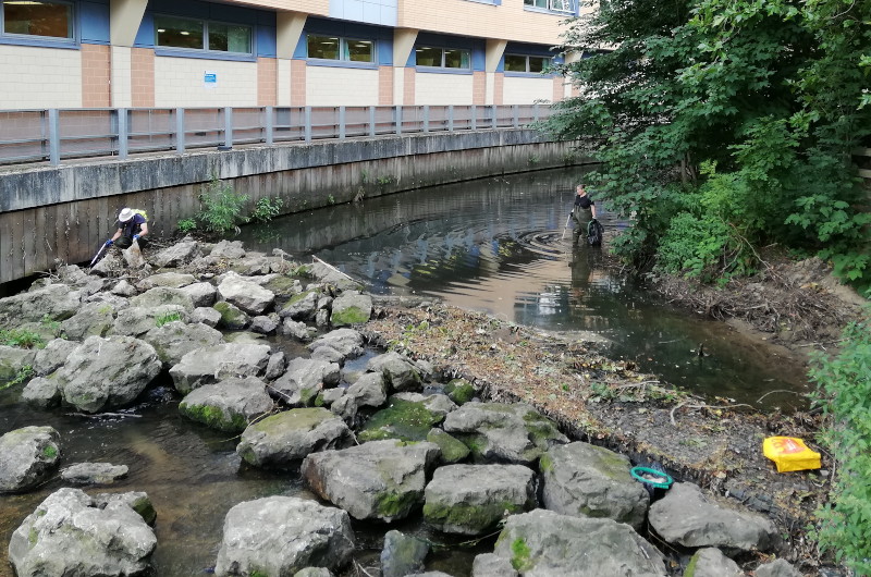 river
                                      cleanup