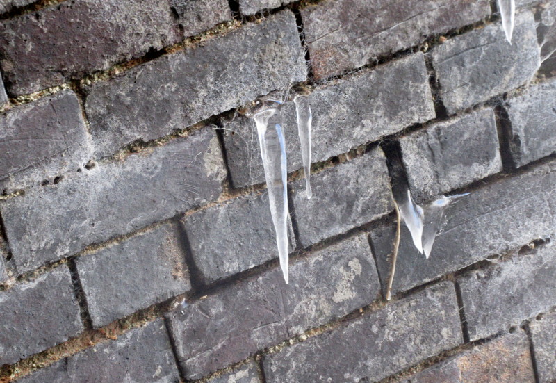 icicles