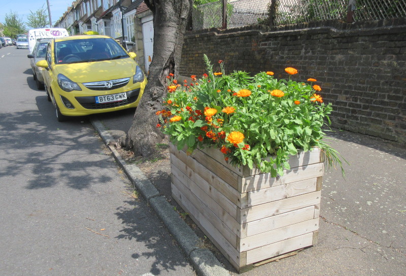 colourful planter