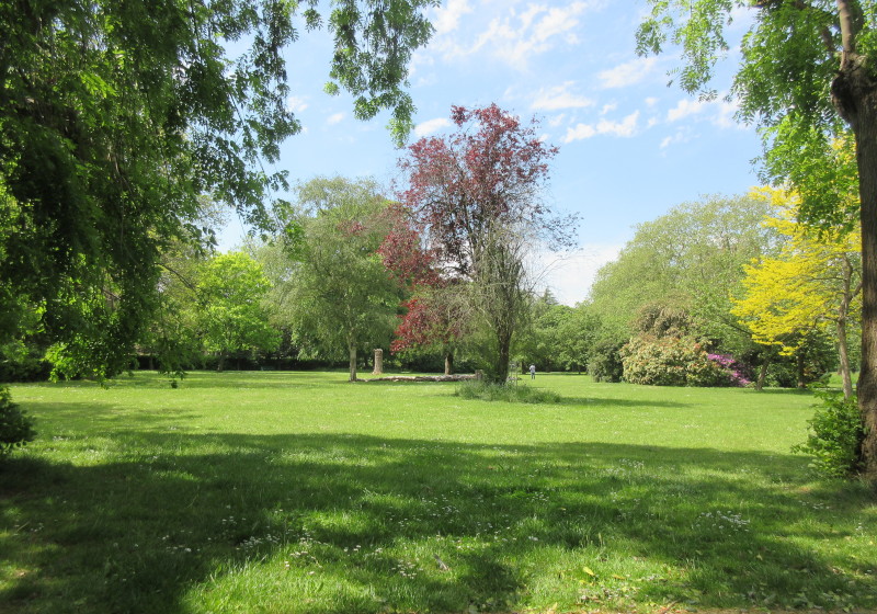 view
                                          from a shady park bench