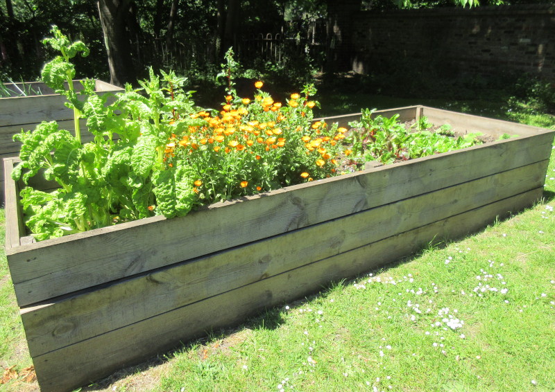 planter
                                      photographed at a stupid angle