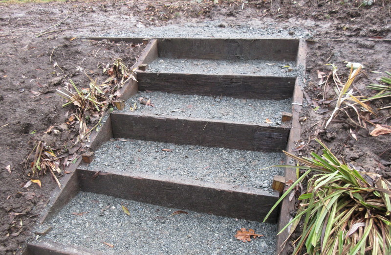 new steps