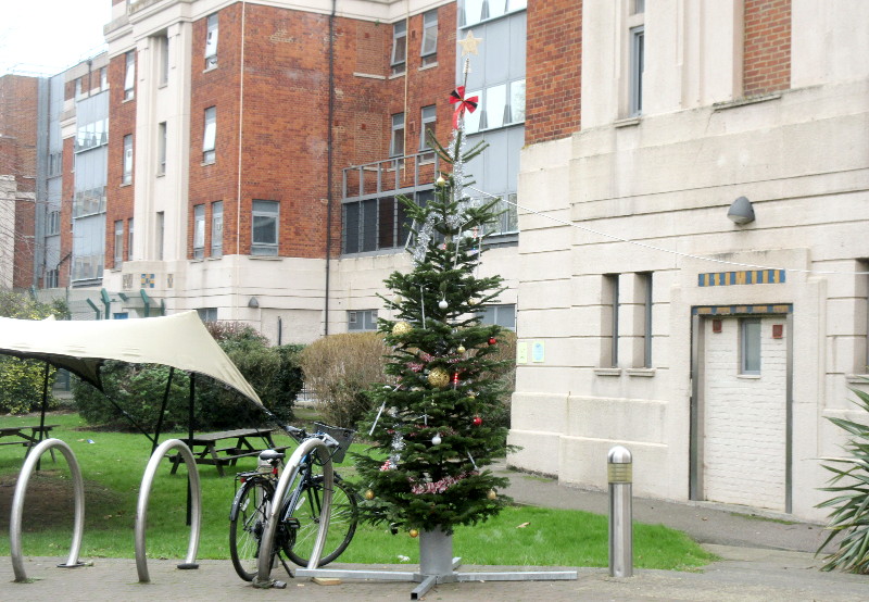 Hospital
                                    Xmas tree