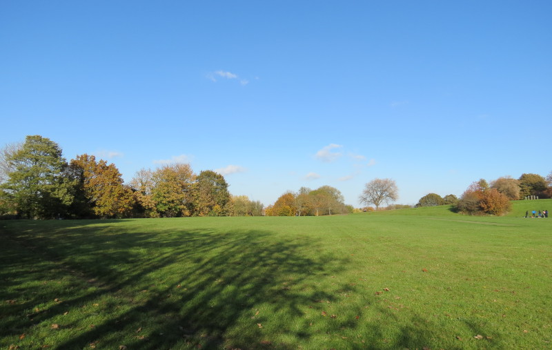 near the
                                    top of Mountsfield Park