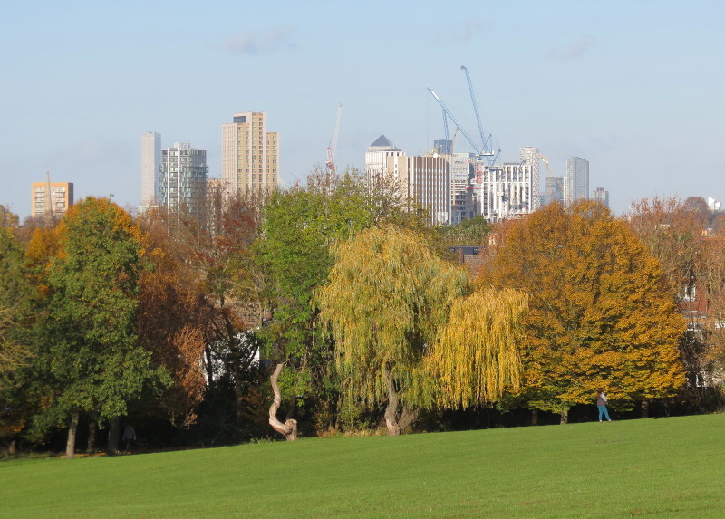 trees in
                                    their autumn coats