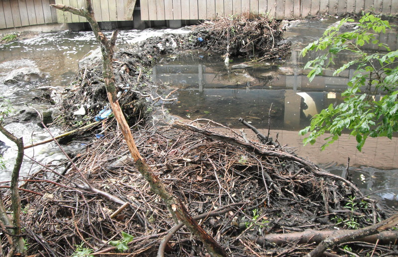 debris caught on
                              the weir