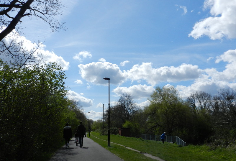 blue sky and
                              fluffy clouds