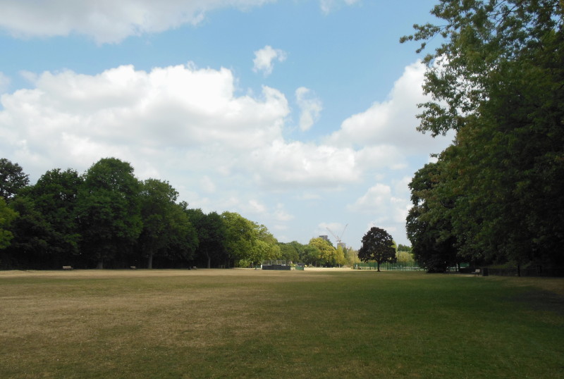 some blue sky
                              and brown grass