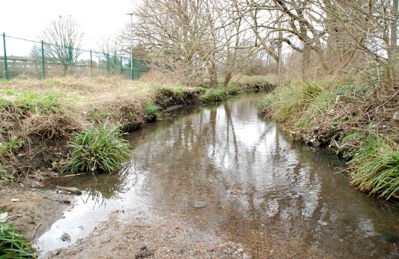 on the
                                      shingle in the River Pool