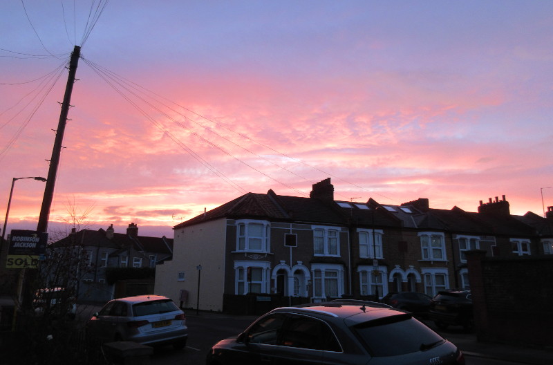 bright red
                                    morning