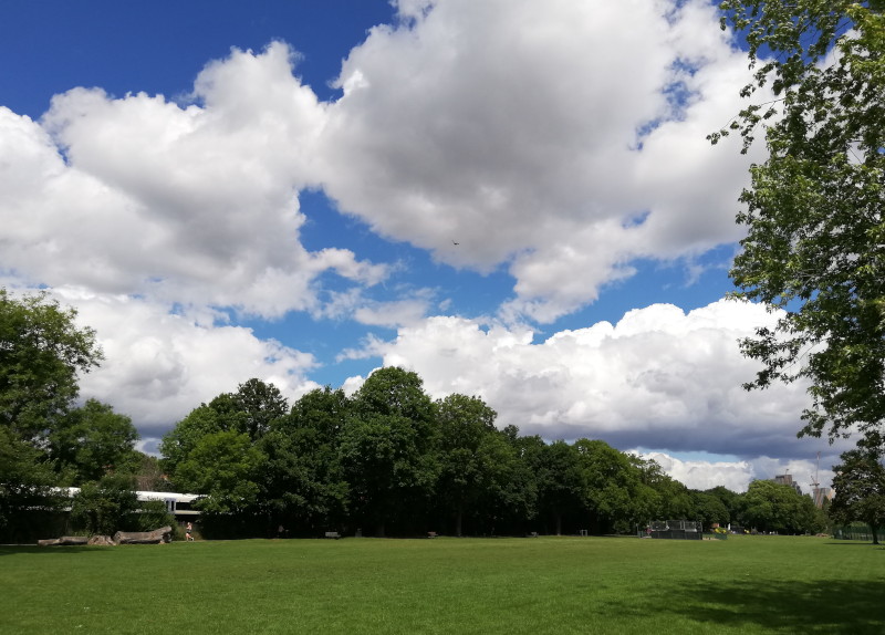 sunshine and
                              blue sky