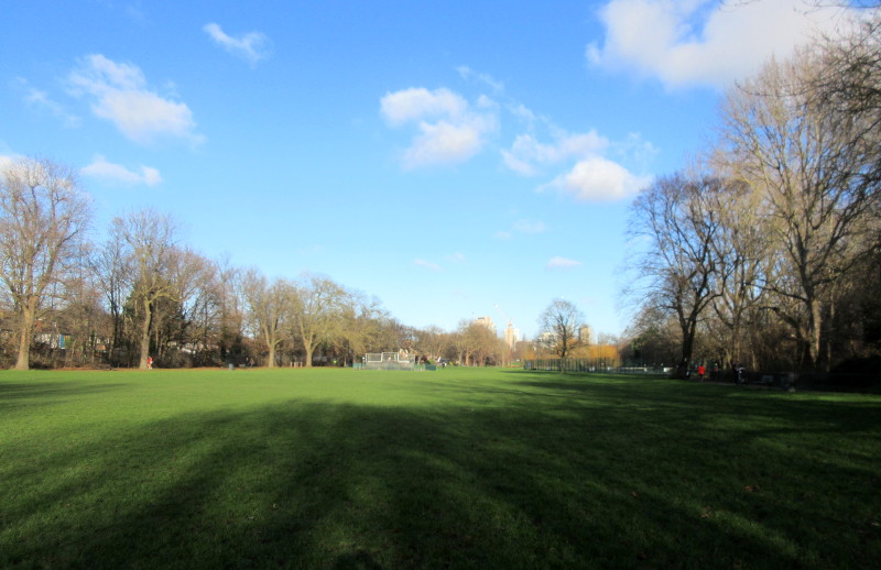 blue sky
                                    and sunshine