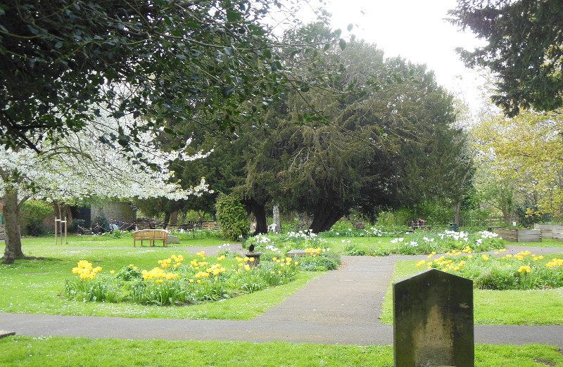 therapeutic
                              garden