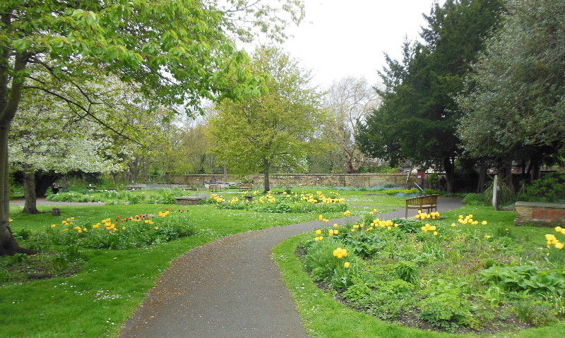 therapeutic
                              gardens