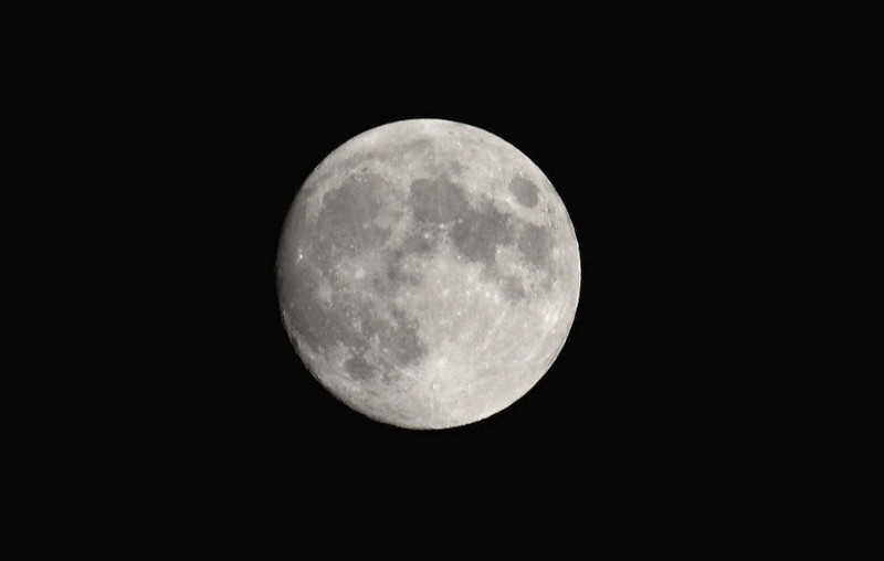 Last night's
                                  moon