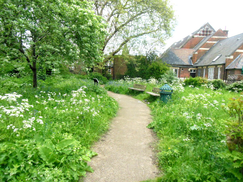 wildflowers