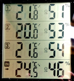 temperature in
                                                    the afternoon