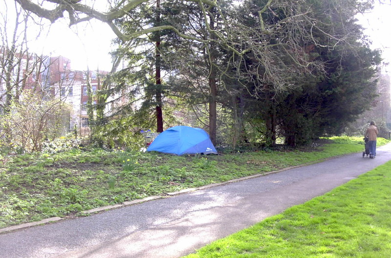homeless person
                                                camping in park