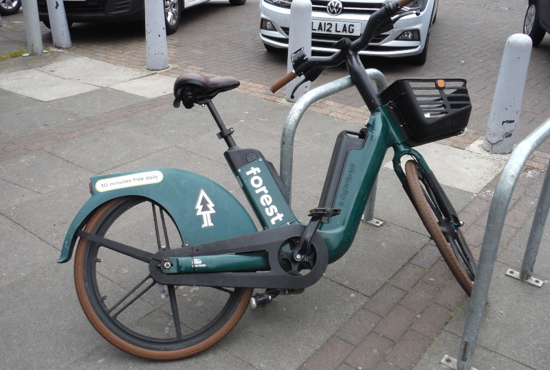 Forest hire bike