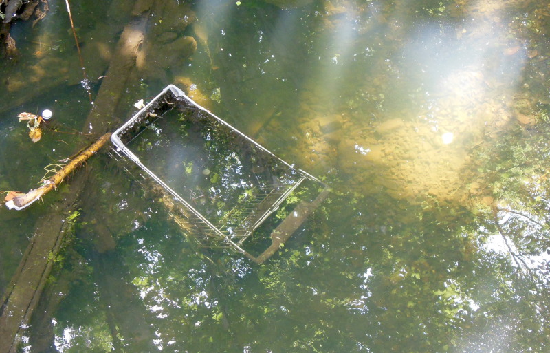 sunken
                                      shopping trolley