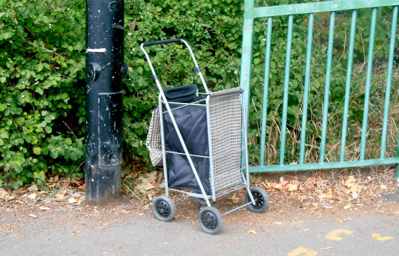 granny
                                      shopping trolley