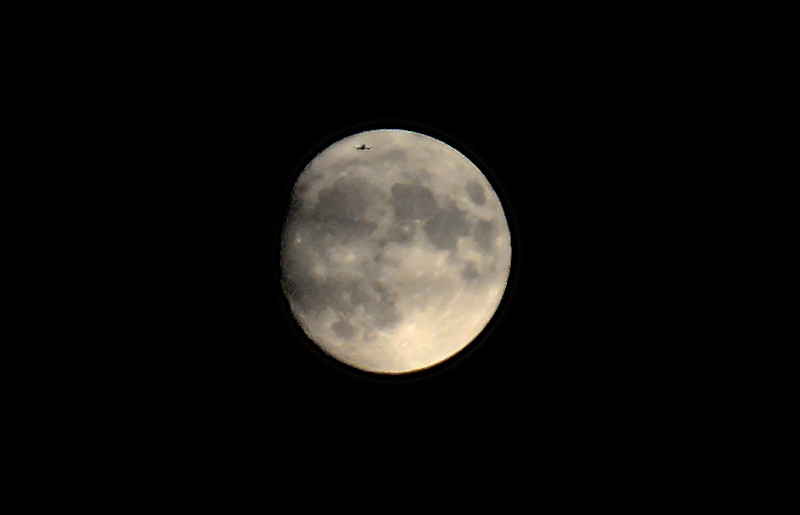 almost
                                      full moon